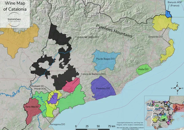 Catalonia wine map showing Priorat, Montsant, and Penedes