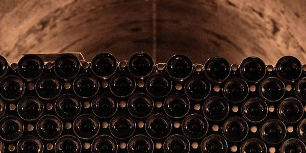 Champagne bottles in a cellar