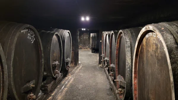 Clape Cornas cellar in Northern Rhône