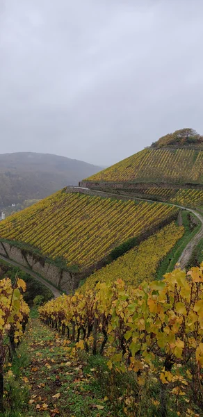 Germany wine regions