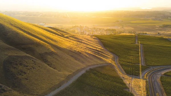 Canvasback vineyard on Red Mountain, Washington