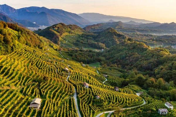 Conegliano Valdobbiadene Prosecco landscape