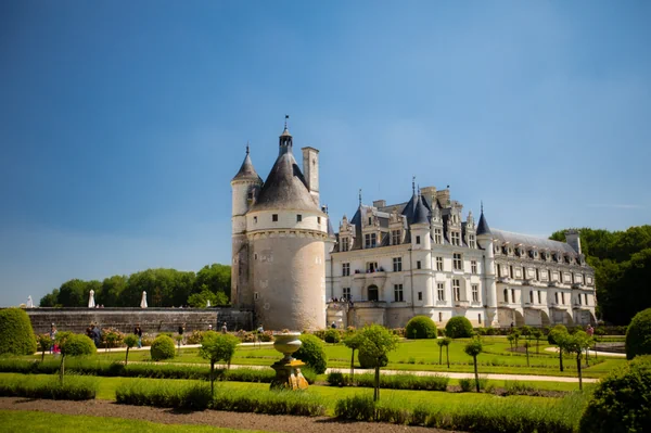 Loire Valley vineyard landscape