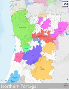 Wine Map of Northern Portugal showing major wine regions, cities and rivers.