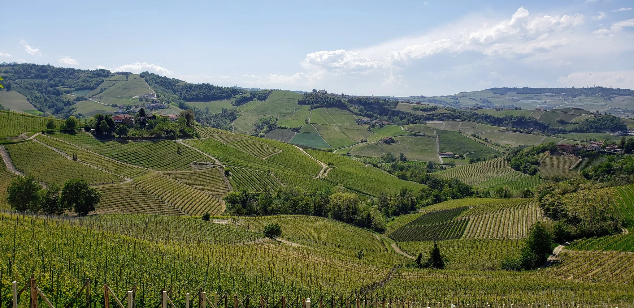 3D Wine Map of Piedmont