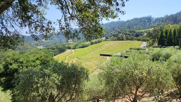 United States wine regions