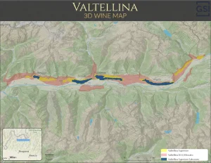 3D wine map of Valtellina Italy