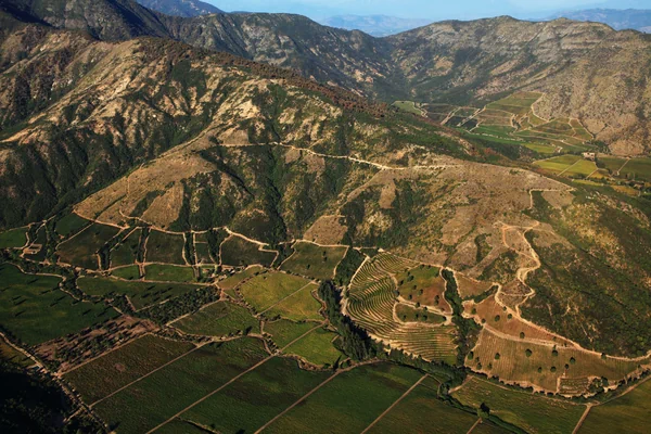 Ventisquero vineyard in Chile