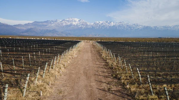 Argentina wine regions