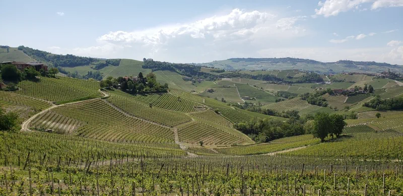 SommGeo 3D Fast Map: terrain analysis of Barolo's Serralunga ridge