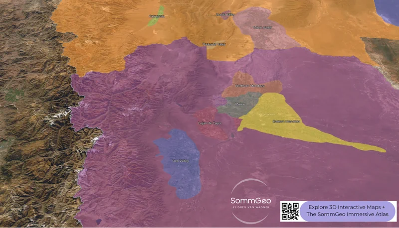 3D satellite view of Mendoza wine sub-regions including Uco Valley, Luján de Cuyo, Maipú, and Eastern Mendoza against the Andes foothills