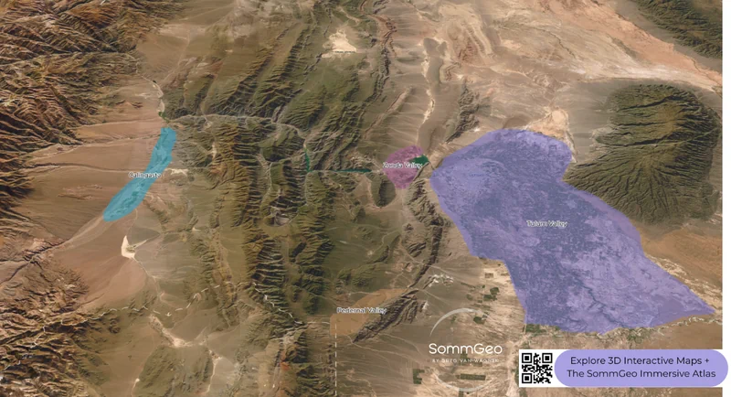3D satellite view of San Juan wine regions showing Calingasta, Zonda Valley, Tulum Valley, and Pedernal Valley between parallel mountain ridges
