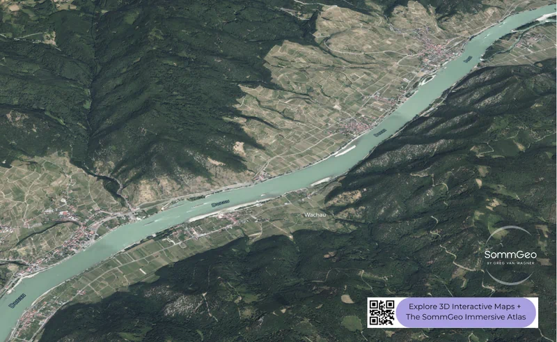 Close-up 3D satellite view of the Wachau's steep terraced vineyards along the Danube River showing gneiss slopes and village sites