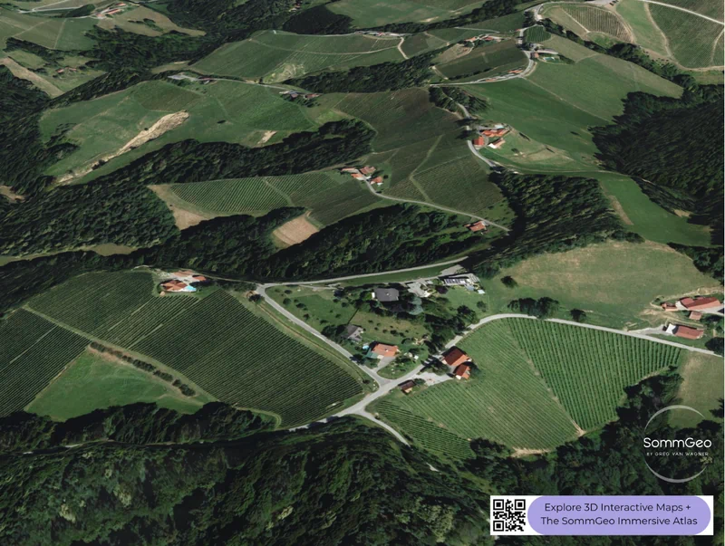 Close-up 3D satellite view of Südsteiermark's steep vineyard slopes along the Slovenian border showing the dramatic topography of Styrian viticulture