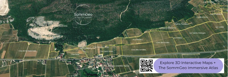 3D outline view of Nuits-Saint-Georges vineyards and Premier Cru slopes