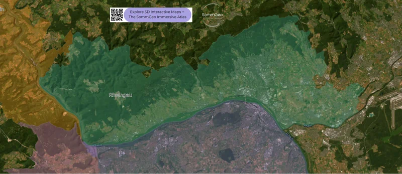 Detailed view of the Mosel and Rheingau wine regions on SommGeo's interactive map showing vineyard sites and river systems