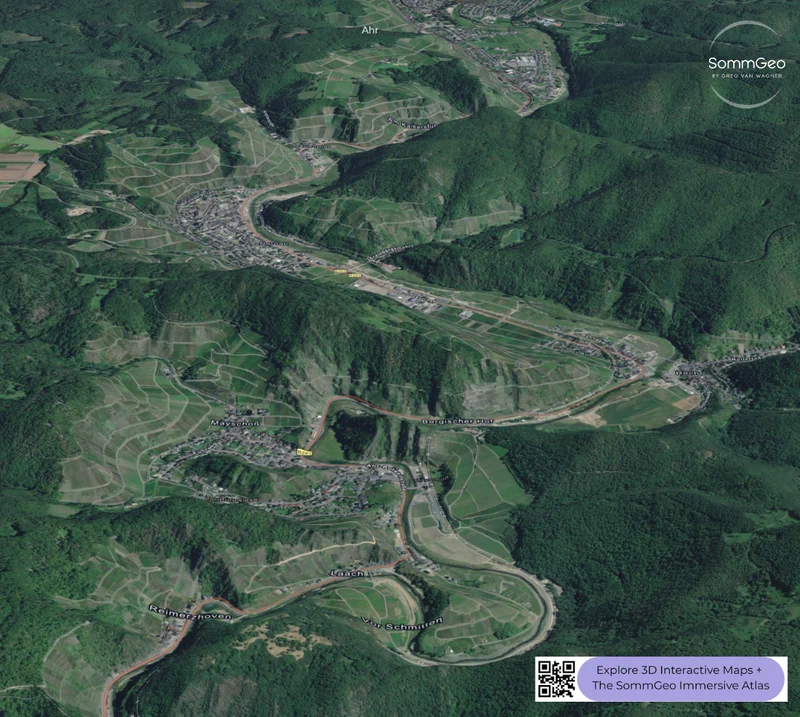 3D vineyard view of steep slopes around Mayschoß in the Ahr wine region in SommGeo's Map Maker