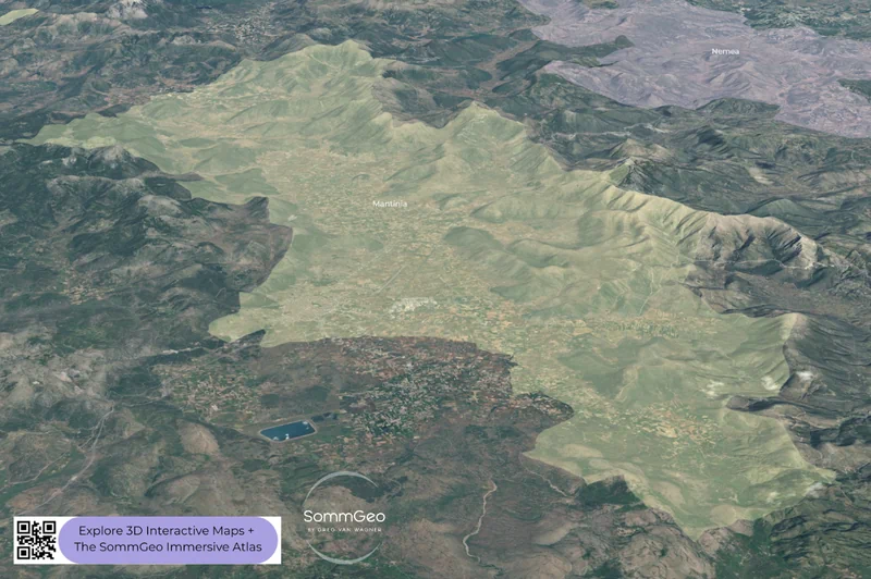 3D satellite view of Mantinia's high-altitude vineyards in the Peloponnese highlands