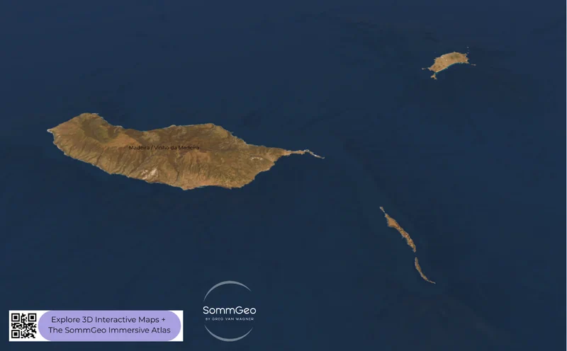 3D satellite view of Madeira wine island showing volcanic terrain and vineyard zones in SommGeo Map Maker