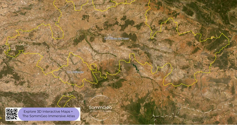 2D satellite view of the Ribera del Duero DO along the Duero River in SommGeo Map Maker