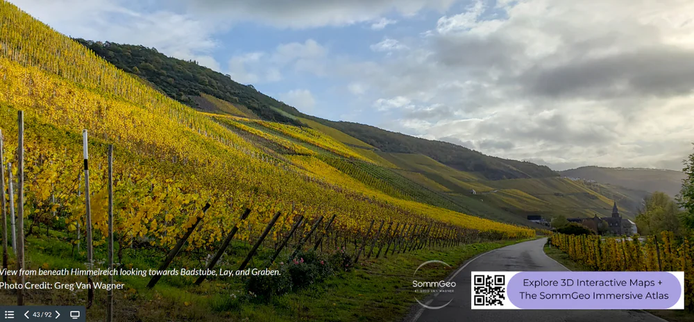 Mosel vineyard Himmelreich in autumn color from the SommGeo 3D Tour