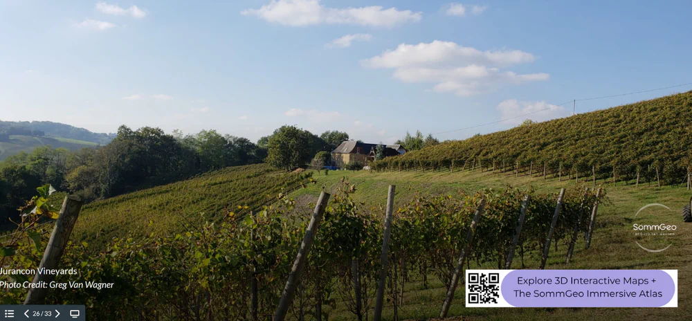 3D Tour view of Jurançon vineyards in the foothills of the Pyrenees