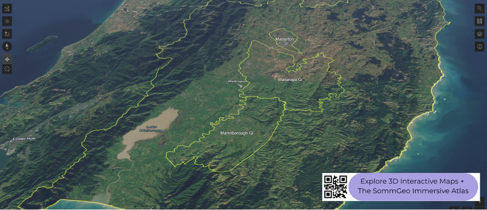 3D terrain view of Martinborough and the Wairarapa wine region in SommGeo's interactive New Zealand North Island map