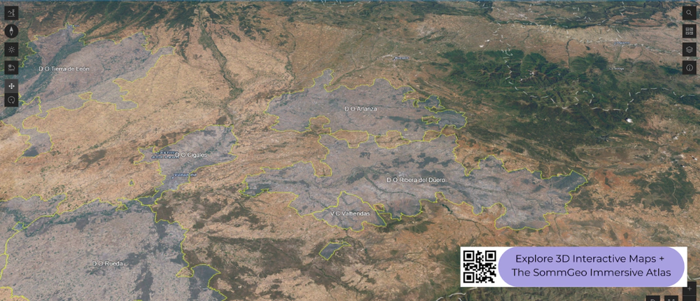 3D terrain view of the Ribera del Duero, Cigales, and Arlanza wine regions in SommGeo's interactive Northwest Spain map